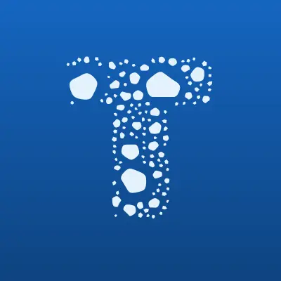 Tint-Line, тонировочный центр, лого-визитка